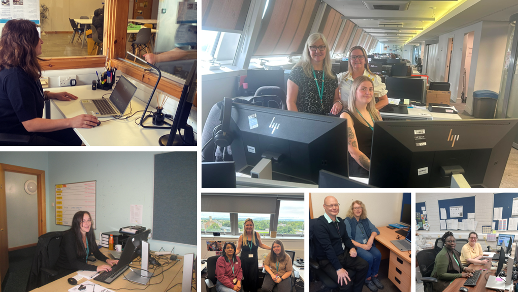 collage of images of participants in their workplace.